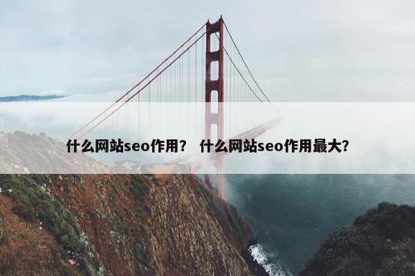 什么网站seo作用？ 什么网站seo作用最大？