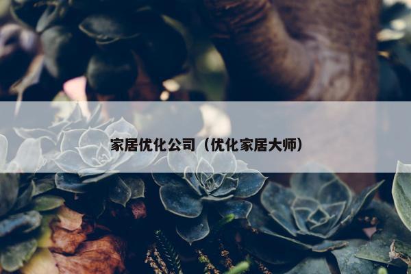 家居优化公司（优化家居大师）
