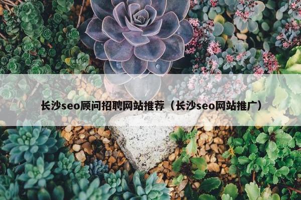 长沙seo顾问招聘网站推荐（长沙seo网站推广）