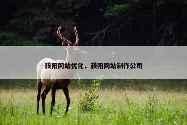 濮阳网站优化，濮阳网站制作公司