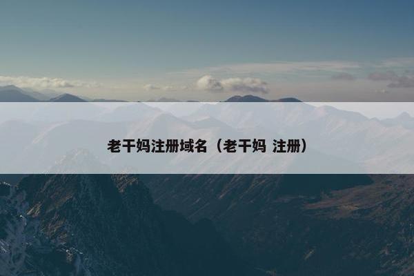 老干妈注册域名（老干妈 注册）