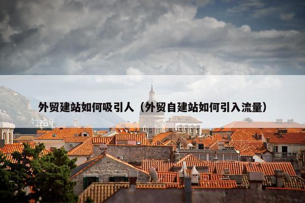 外贸建站如何吸引人（外贸自建站如何引入流量）