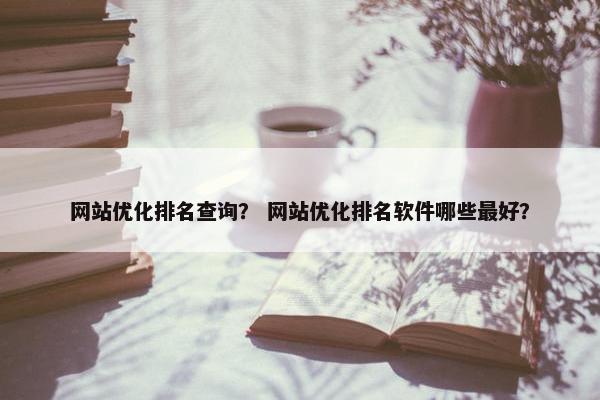 网站优化排名查询？ 网站优化排名软件哪些最好？