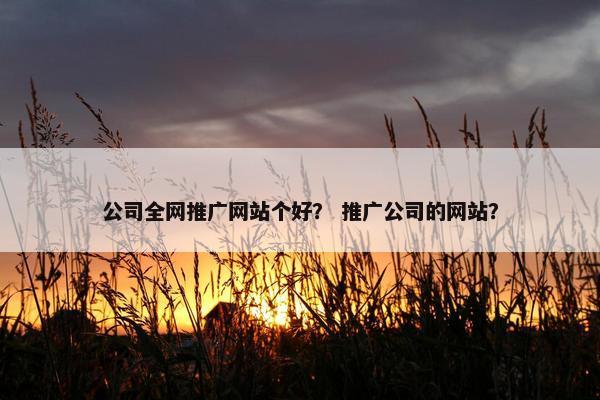 公司全网推广网站个好？ 推广公司的网站？