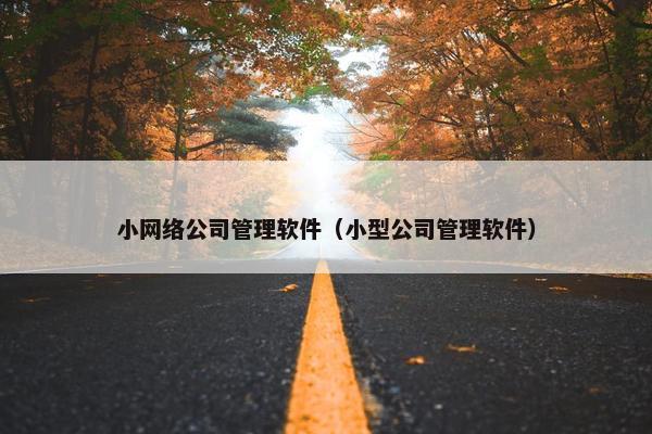小网络公司管理软件（小型公司管理软件）