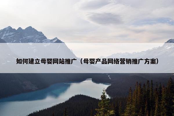 如何建立母婴网站推广（母婴产品网络营销推广方案）