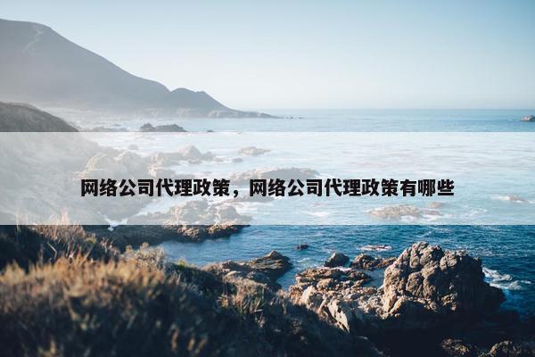 网络公司代理政策，网络公司代理政策有哪些