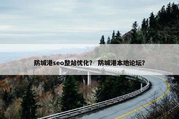 防城港seo整站优化？ 防城港本地论坛？