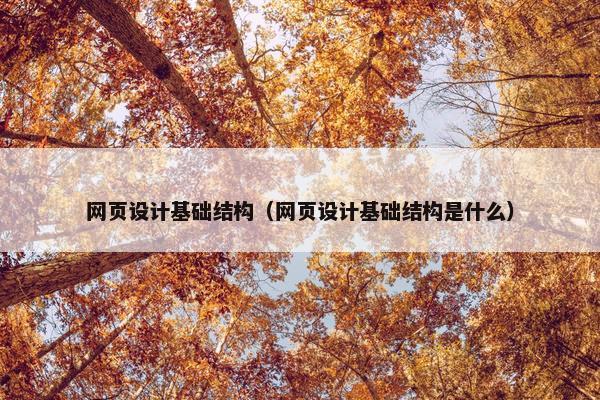 网页设计基础结构（网页设计基础结构是什么）