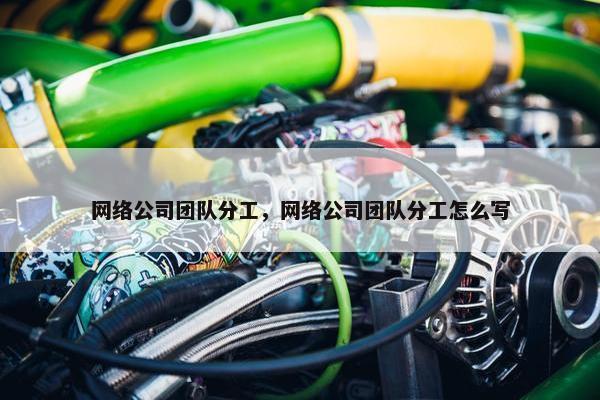 网络公司团队分工，网络公司团队分工怎么写
