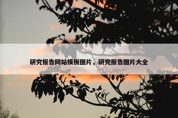研究报告网站模板图片，研究报告图片大全