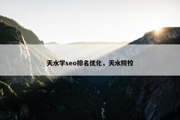 天水学seo排名优化，天水院校