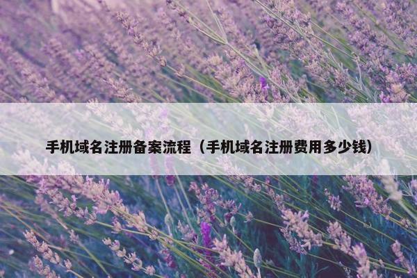 手机域名注册备案流程（手机域名注册费用多少钱）