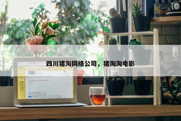四川猪淘网络公司，猪淘淘电影