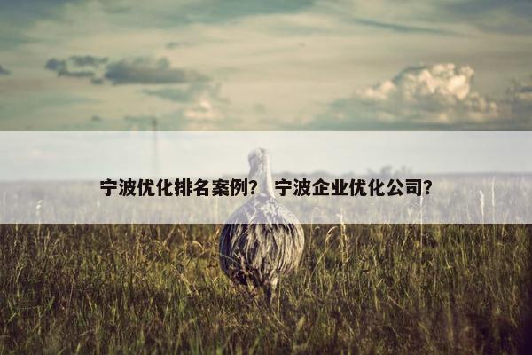 宁波优化排名案例？ 宁波企业优化公司？