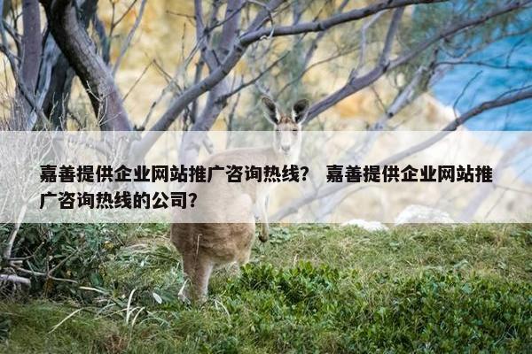 嘉善提供企业网站推广咨询热线？ 嘉善提供企业网站推广咨询热线的公司？
