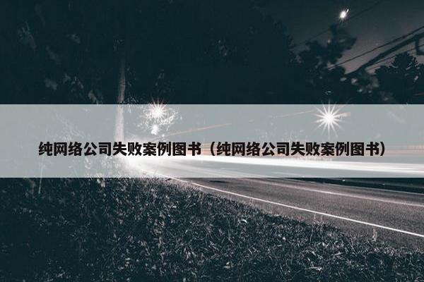 纯网络公司失败案例图书（纯网络公司失败案例图书）