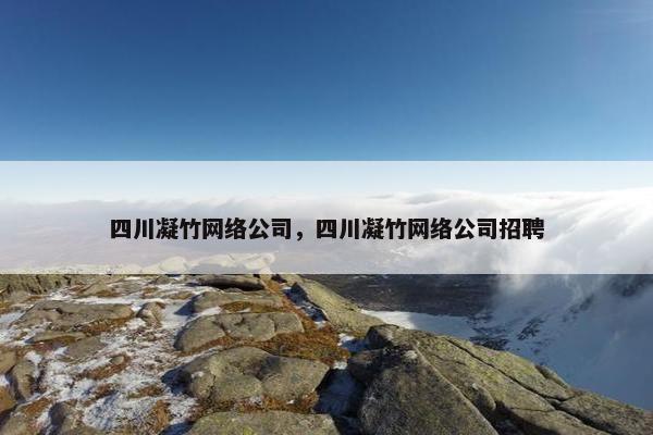 四川凝竹网络公司，四川凝竹网络公司招聘