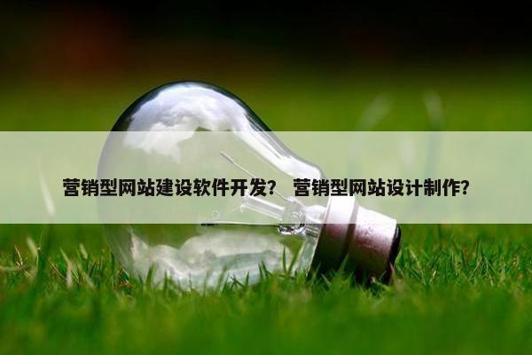 营销型网站建设软件开发？ 营销型网站设计制作？
