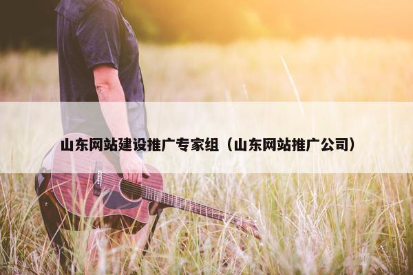 山东网站建设推广专家组（山东网站推广公司）