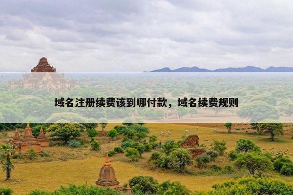 域名注册续费该到哪付款，域名续费规则