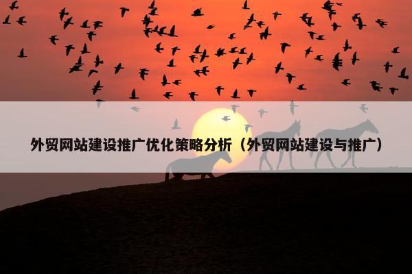 外贸网站建设推广优化策略分析（外贸网站建设与推广）