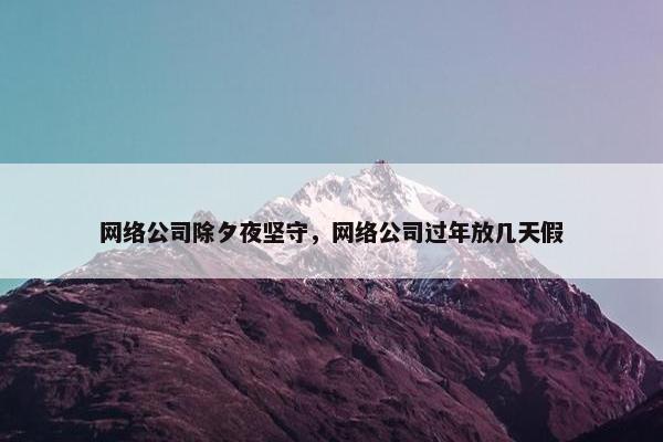 网络公司除夕夜坚守，网络公司过年放几天假