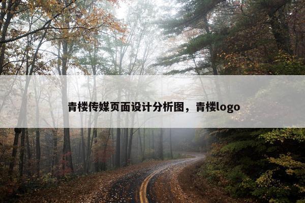 青楼传媒页面设计分析图，青楼logo