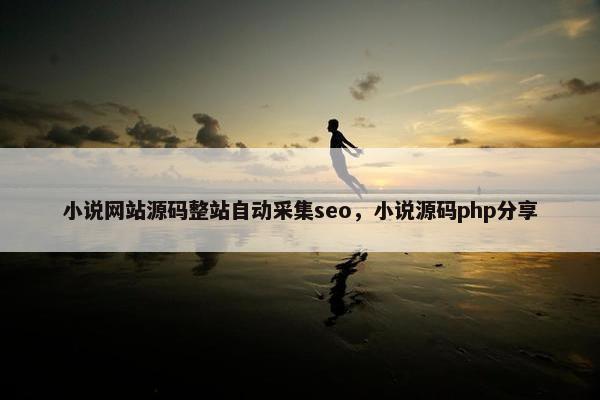 小说网站源码整站自动采集seo，小说源码php分享