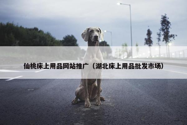 仙桃床上用品网站推广（湖北床上用品批发市场）