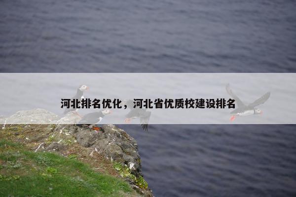 河北排名优化，河北省优质校建设排名
