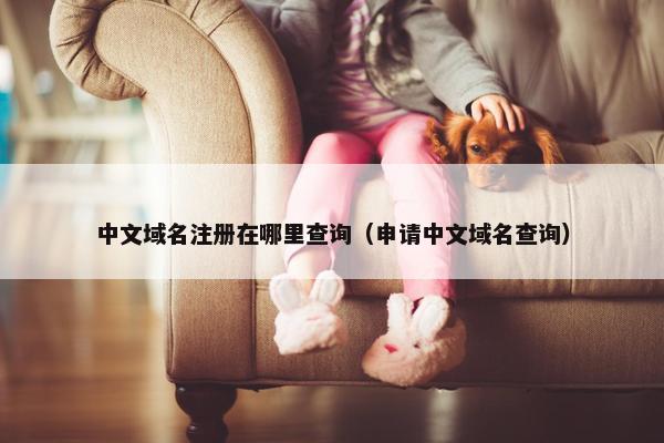 中文域名注册在哪里查询（申请中文域名查询）
