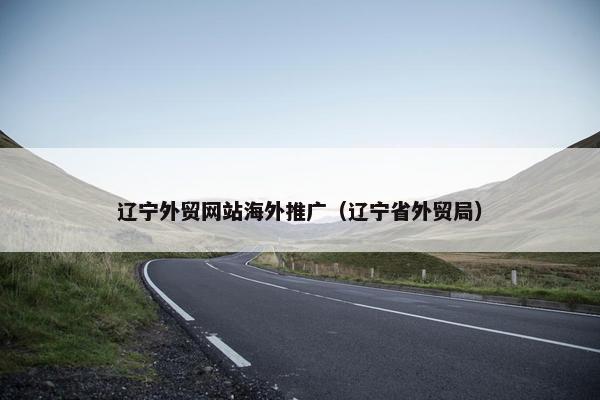 辽宁外贸网站海外推广（辽宁省外贸局）