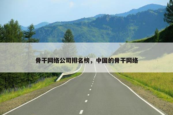 骨干网络公司排名榜，中国的骨干网络