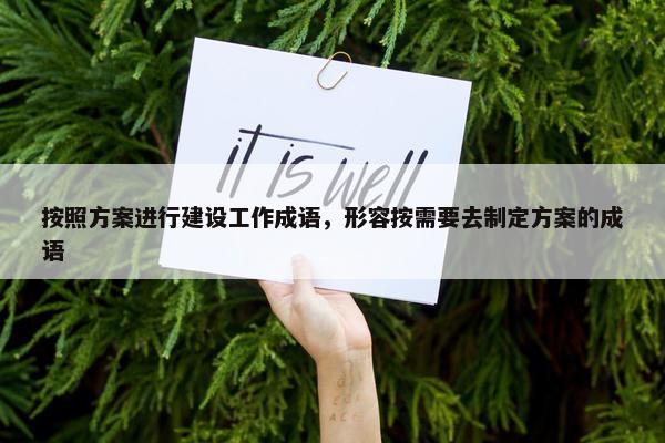 按照方案进行建设工作成语，形容按需要去制定方案的成语