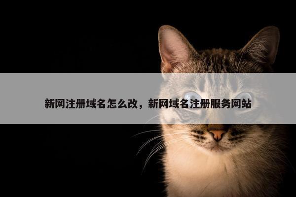 新网注册域名怎么改，新网域名注册服务网站