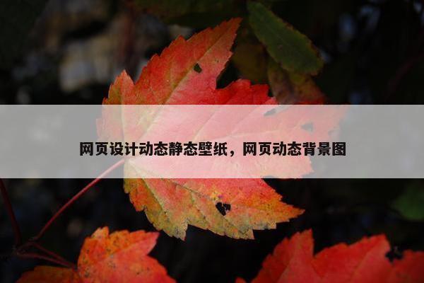 网页设计动态静态壁纸，网页动态背景图