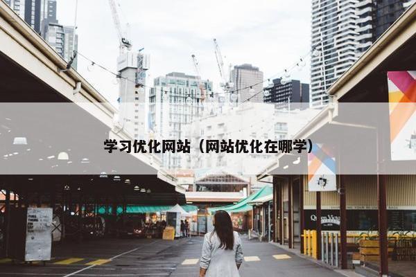 学习优化网站（网站优化在哪学）