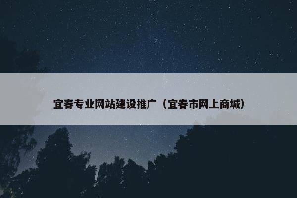 宜春专业网站建设推广（宜春市网上商城）