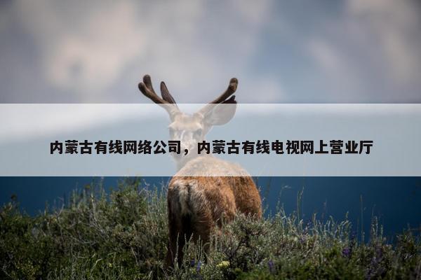 内蒙古有线网络公司，内蒙古有线电视网上营业厅