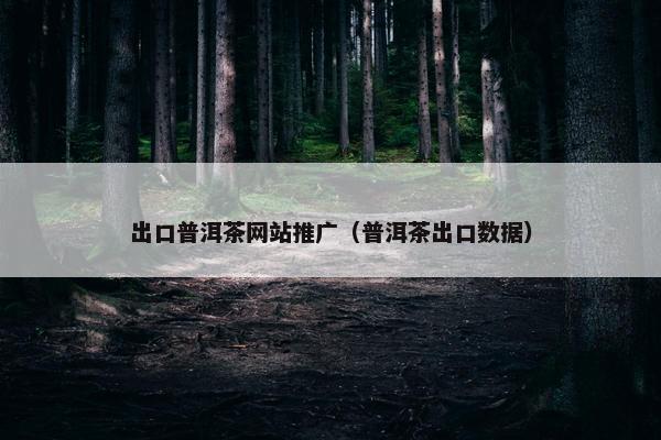 出口普洱茶网站推广（普洱茶出口数据）