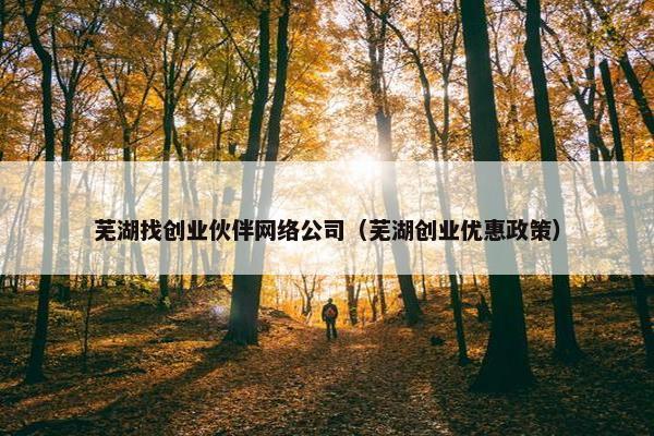 芜湖找创业伙伴网络公司（芜湖创业优惠政策）