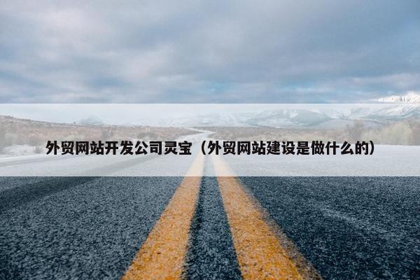 外贸网站开发公司灵宝（外贸网站建设是做什么的）
