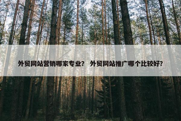 外贸网站营销哪家专业？ 外贸网站推广哪个比较好？