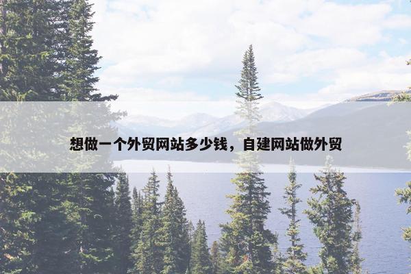 想做一个外贸网站多少钱，自建网站做外贸