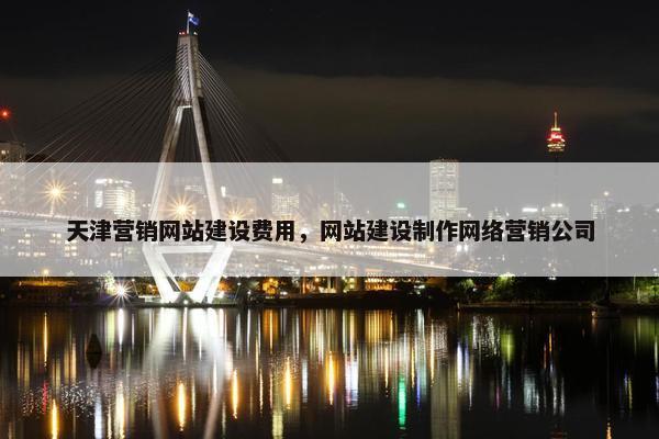 天津营销网站建设费用，网站建设制作网络营销公司