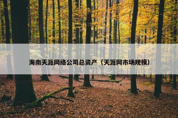 海南天涯网络公司总资产（天涯网市场规模）