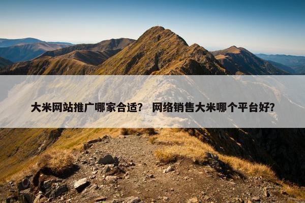 大米网站推广哪家合适？ 网络销售大米哪个平台好？