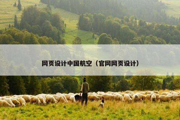 网页设计中国航空（官网网页设计）