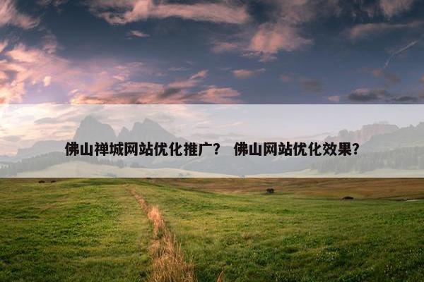 佛山禅城网站优化推广？ 佛山网站优化效果？